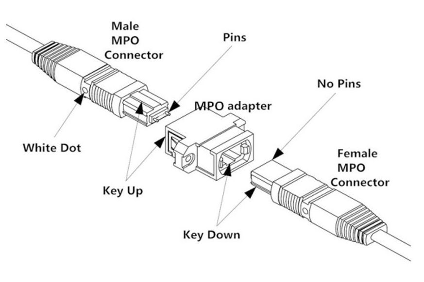 MPO ADAPTER